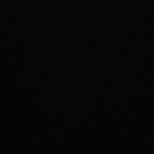 Meet your Posher, Bella